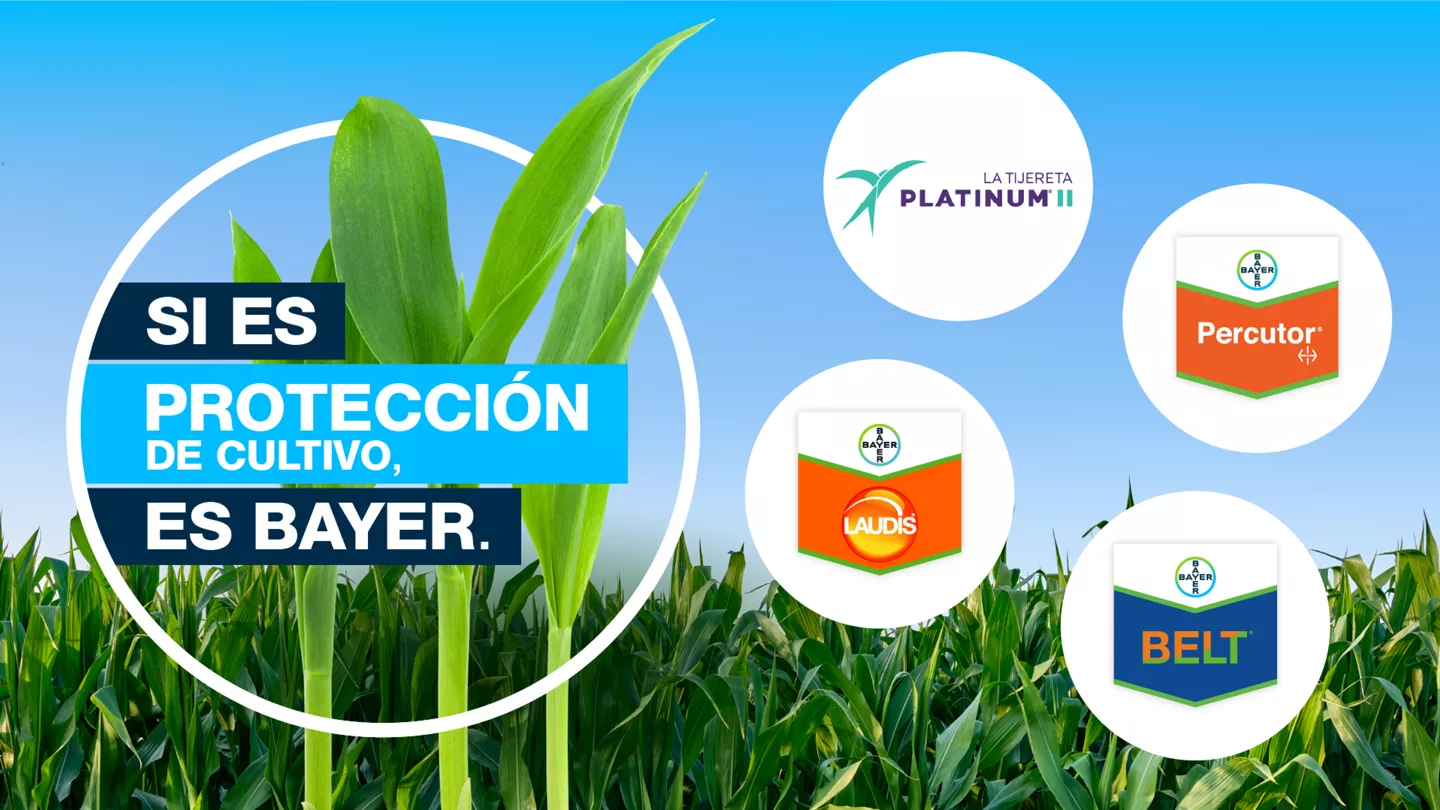 Promo Tools of ¡Comprando La Tijereta accedés a un descuento sobre la Solución Integrada de Bayer Maíz!